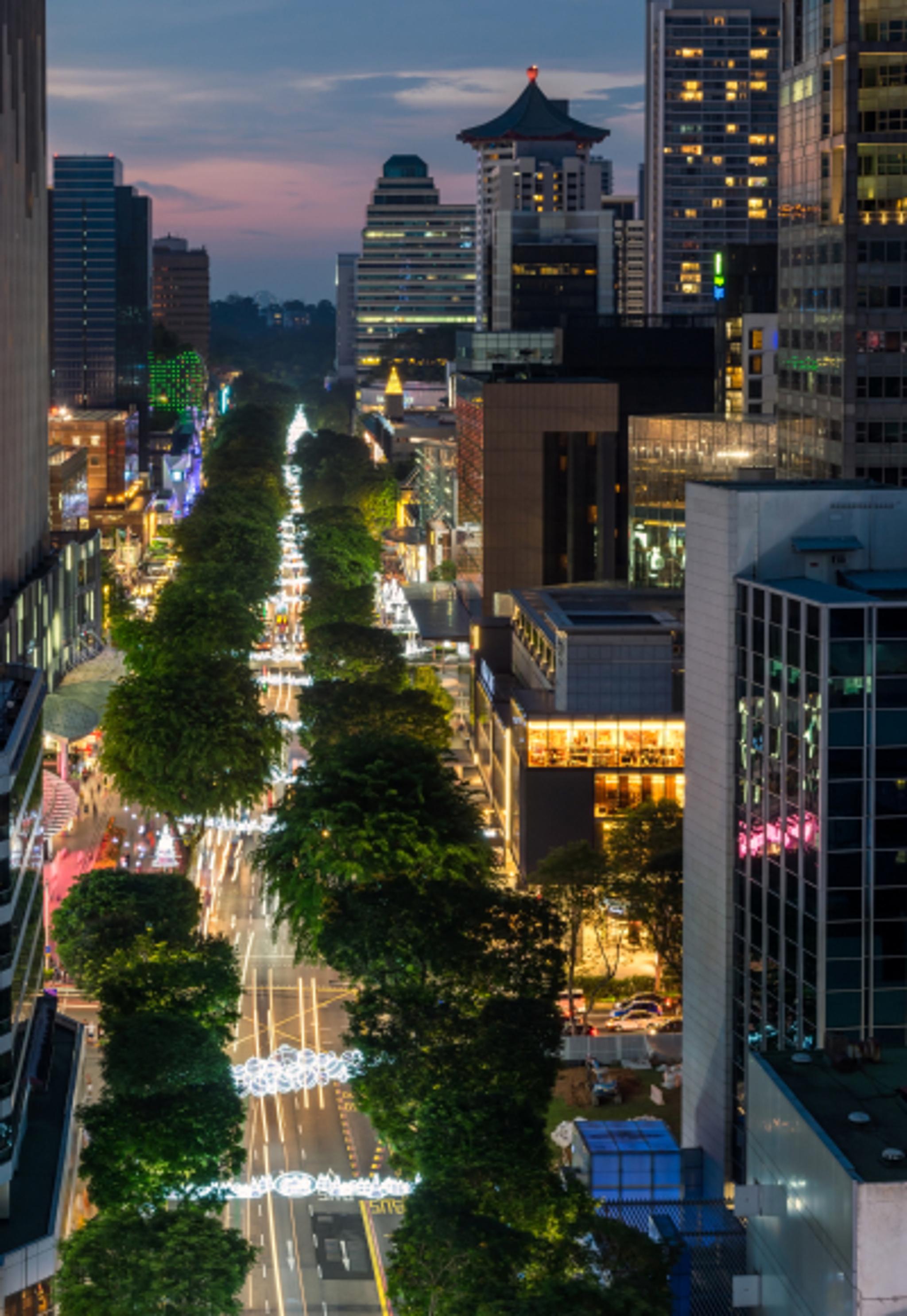 Orchard Road 