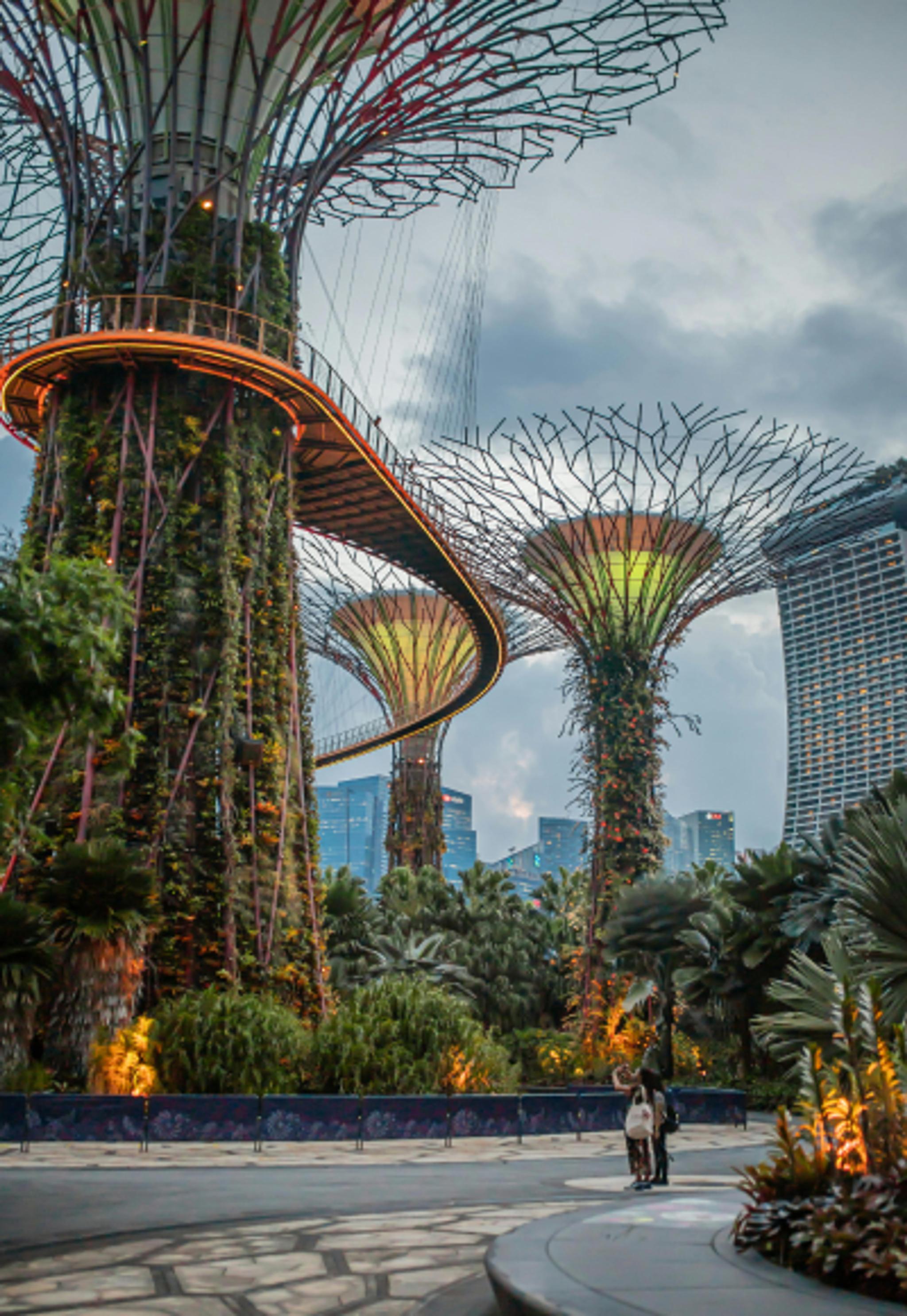 Gardens by the Bay 