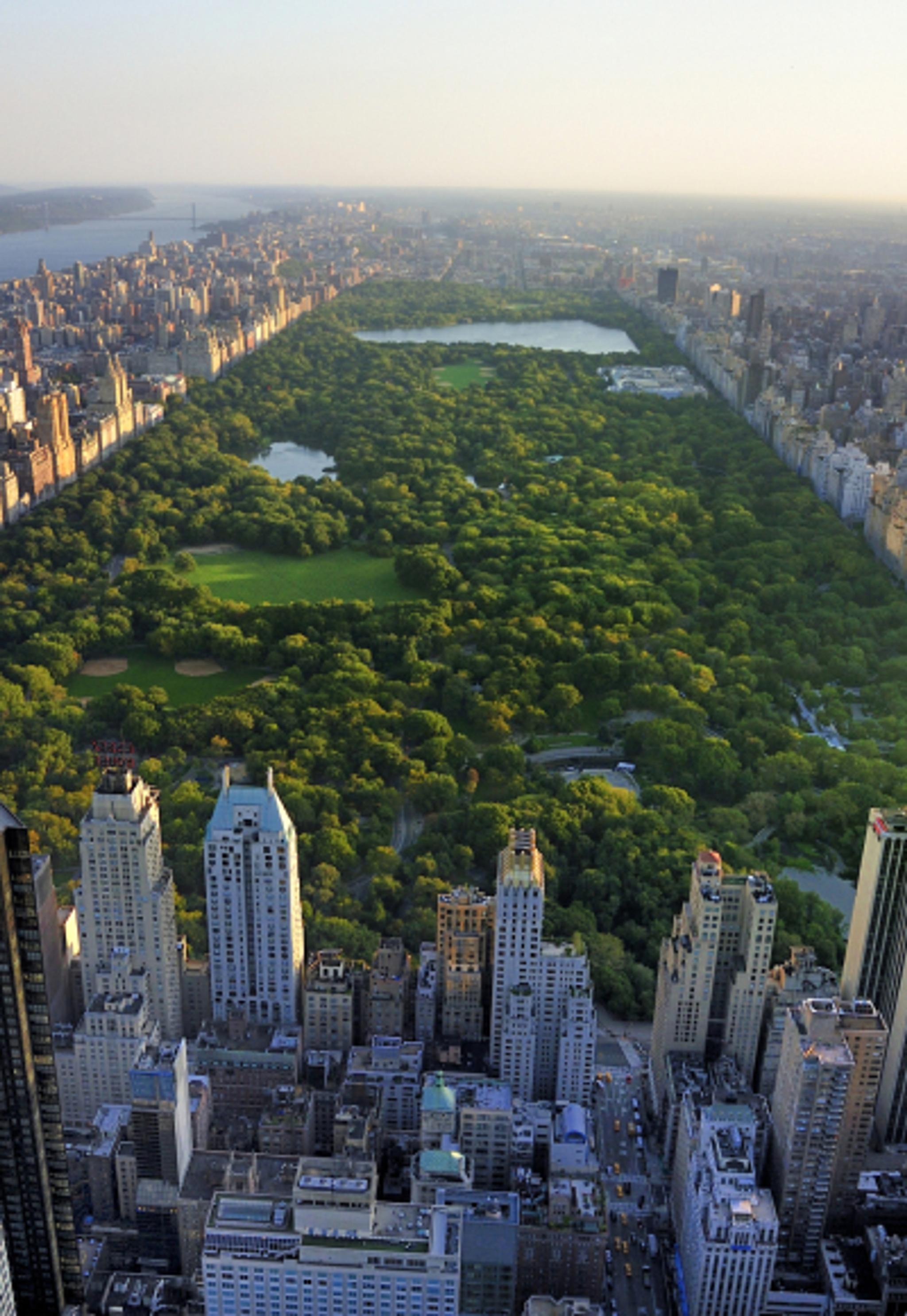 Central Park