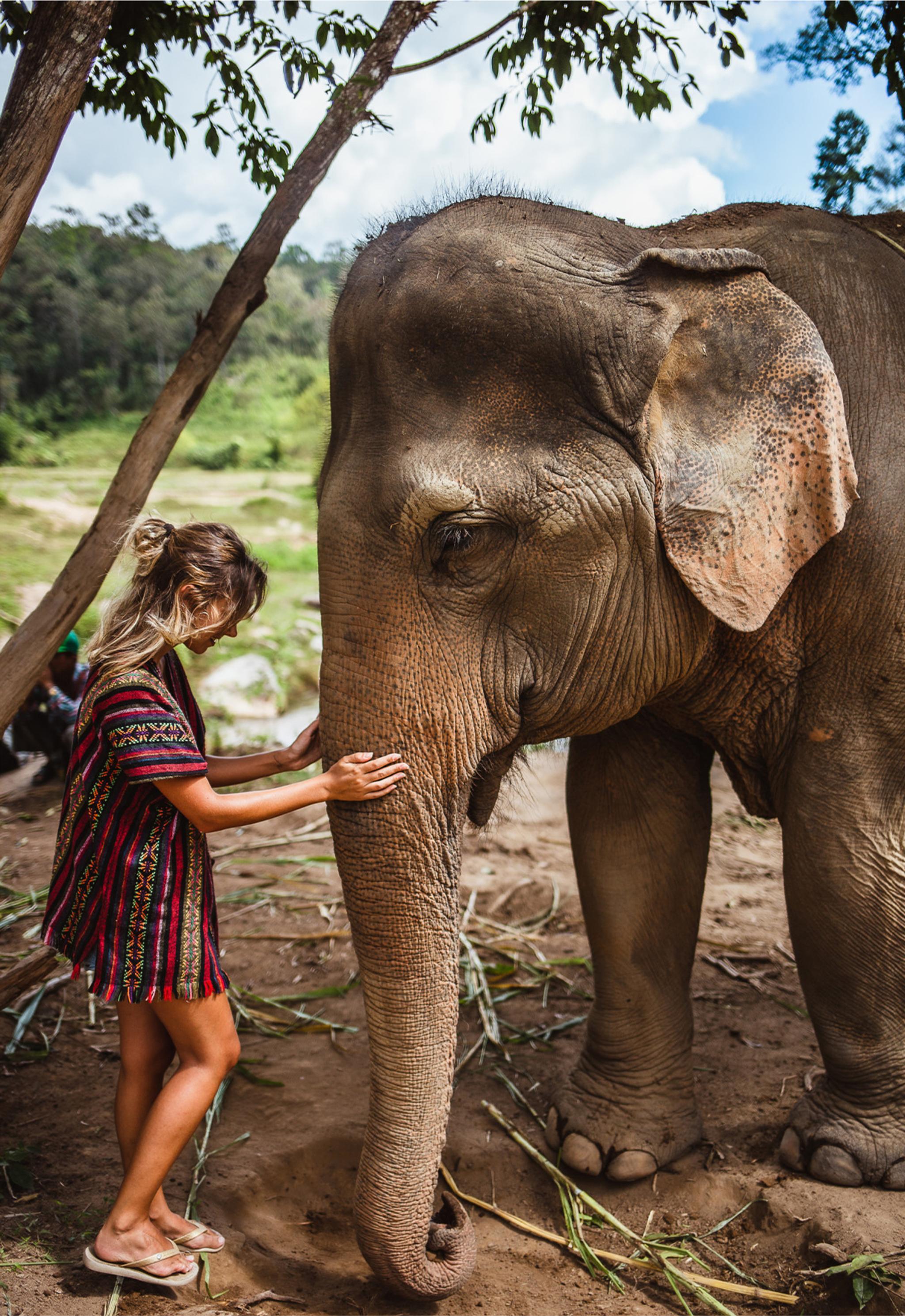 Ethical Elephant Sanctuary