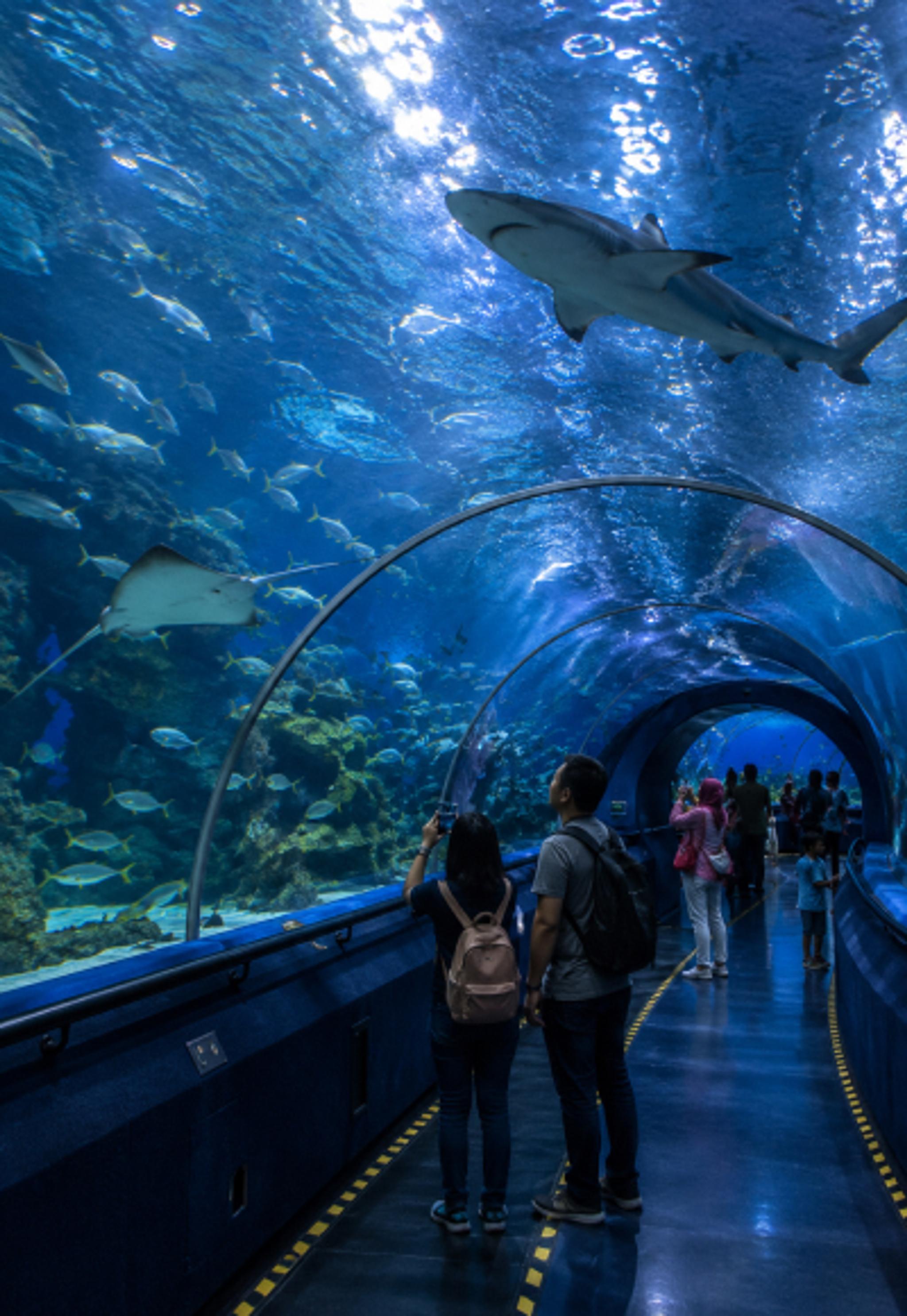 Aquaria KLCC