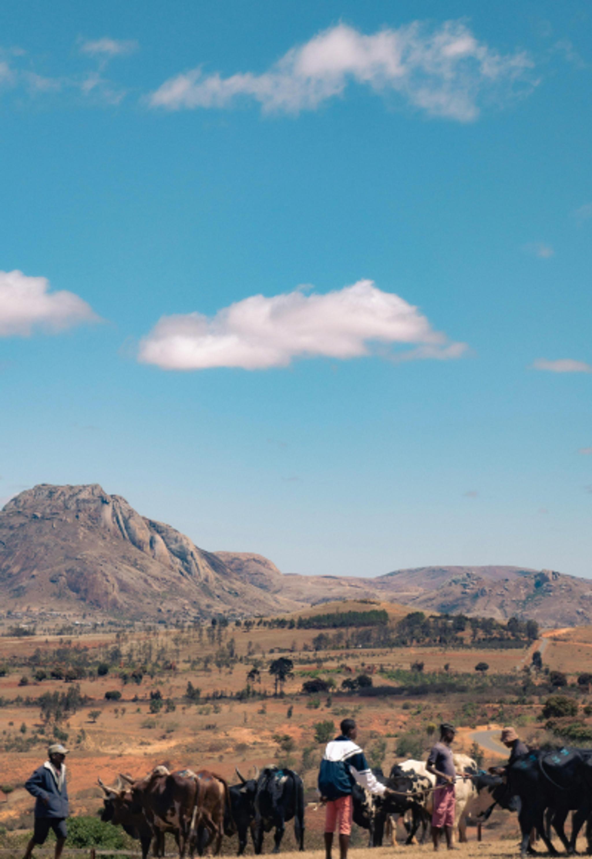 Madagascar