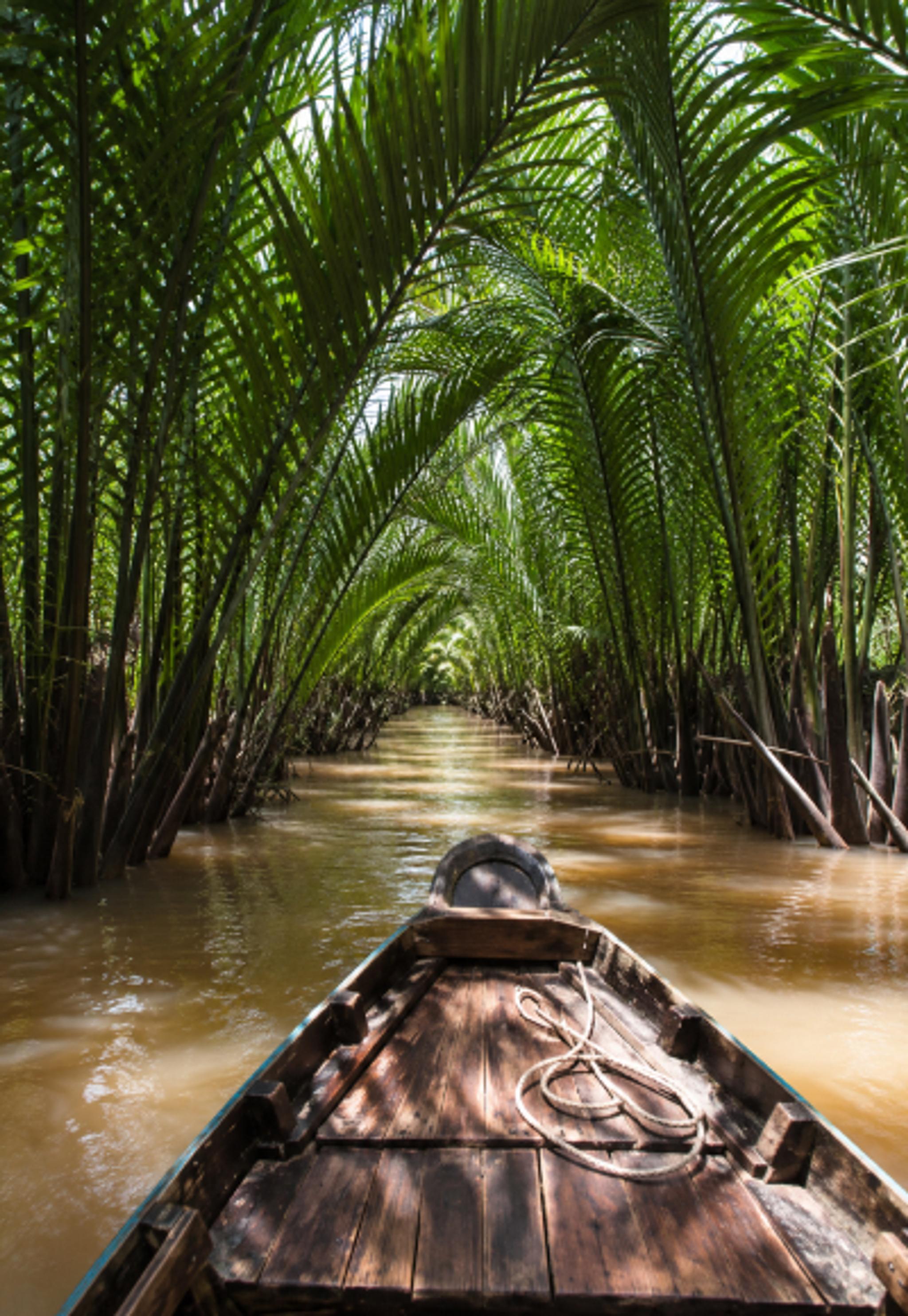 Cruise Along the Mekong River