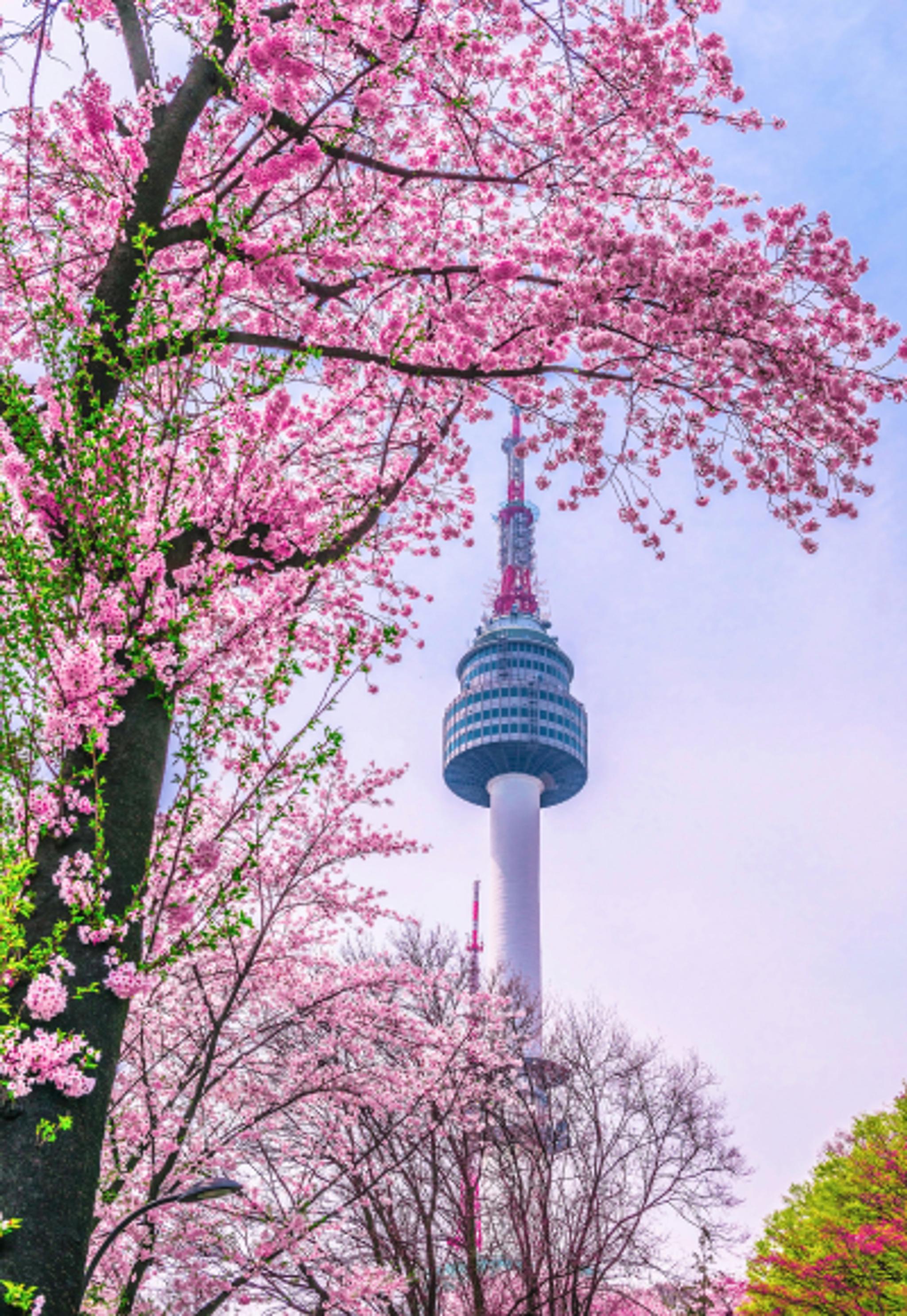 N Seoul Tower